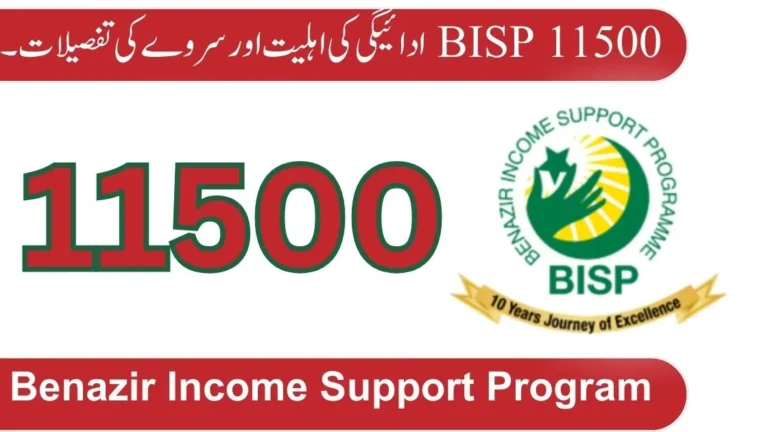 BISP 11500 Payment for September 2024 Eligibility and Survey Details