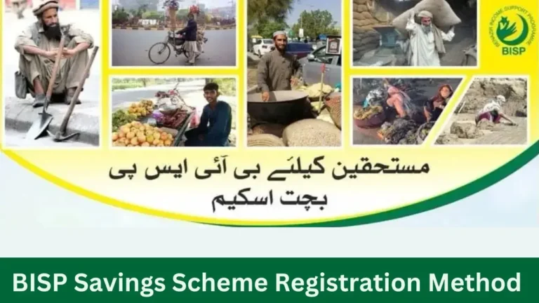 BISP Savings Scheme Registration Method Simple Way in 2024