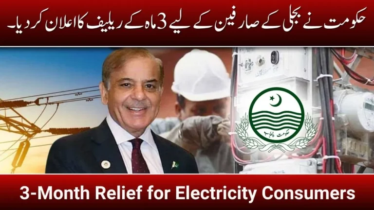 Government Announces 3-Month Relief for Electricity Consumers in 2024