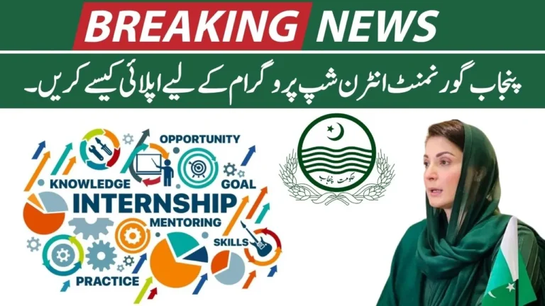 How to Apply for Punjab Government Internship Program 2024 (Complete Guide)