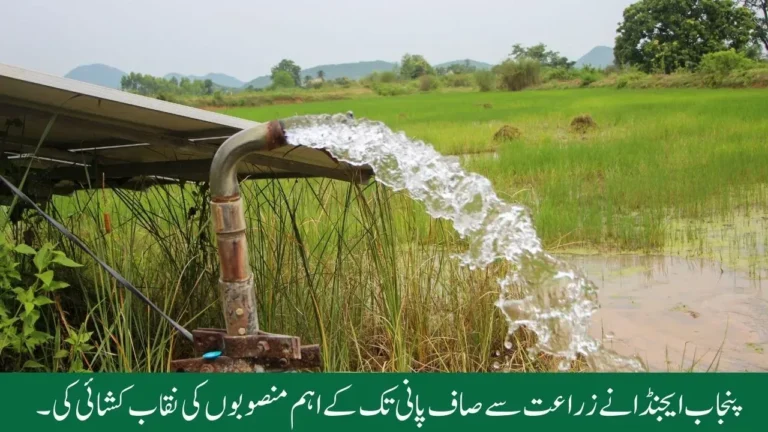 Punjab Agenda 2024 Unveils Key Projects from Agriculture to Clean Water