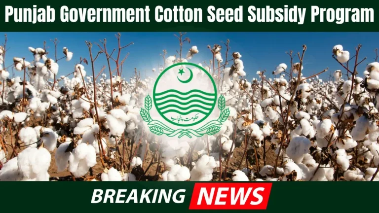 Punjab Government Cotton Seed Subsidy Program Benefits and Application Details